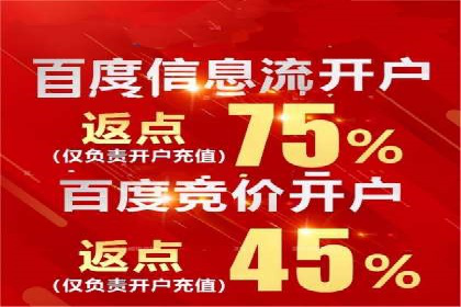 某行业SEM竞价策略的运营实践与效果